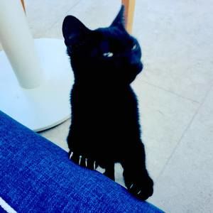 Meet your Posher, Zoë